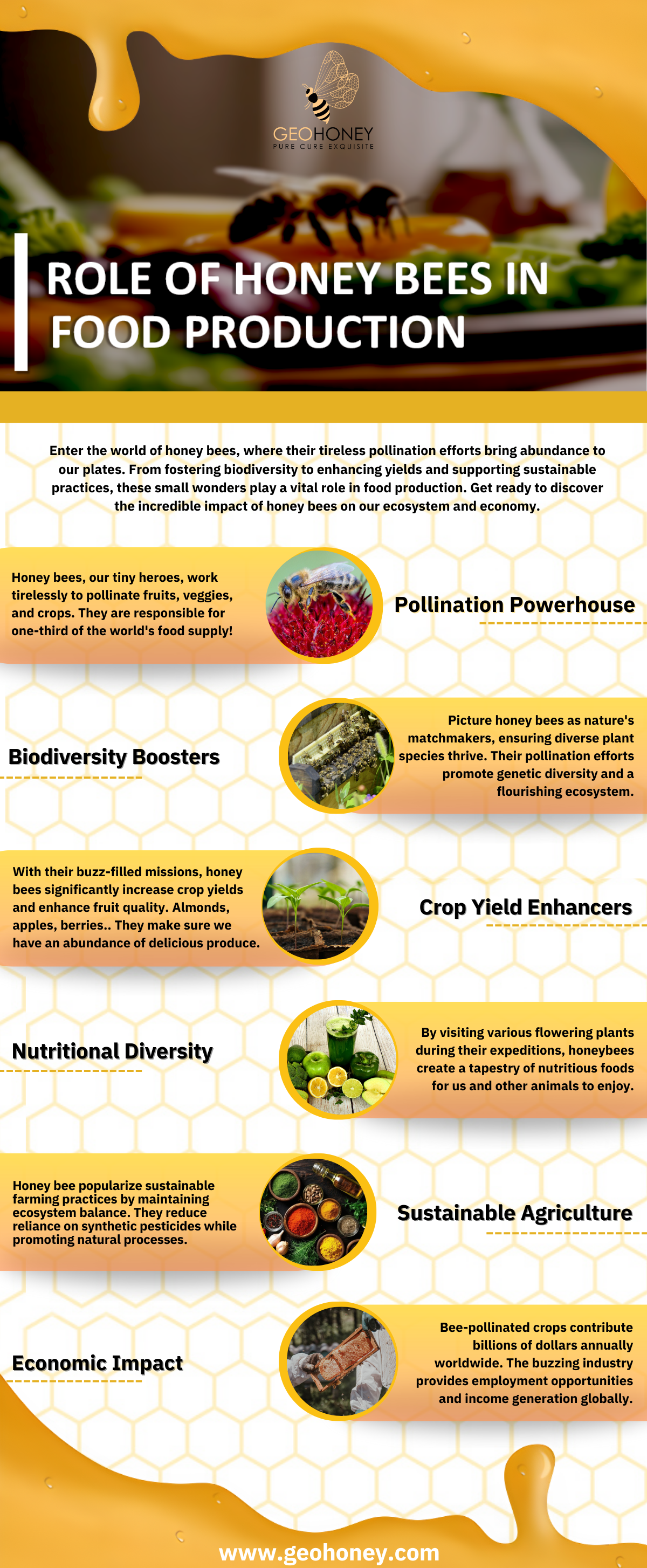 Role of Honey Bees in Food Production